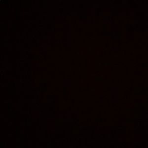 Meet your Posher, Phoenix